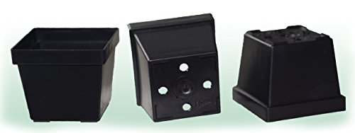 6,5cm x 6,5cm x 6cm Vierkanttöpfe, Anzuchttöpfe, Pflanztöpfe, Saattöpfe, Blumentöpfe, Platiktopf (50 Stück)