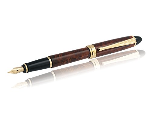 Aurora Ipsilon Fountain Pen, Brown marbled tortoise, Gold trim, B13T - M