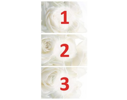 Fototapete Tür Papier No.20 ‚WEDDING ROSES‘ 100x210cm Foto Tapeten Blumen Rosen , Größe:210cm x 100cm - 4