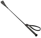 SToys 700000254608 65 cm Paddle with Handle and Handrail