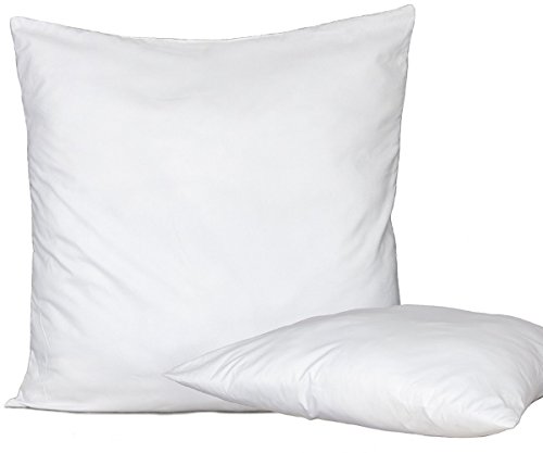 Bed Store Set 2 pezzi anima imbottitura anallergica per cuscini divano, poltrona, letto da rivestire in quattro misure (45 X 45)