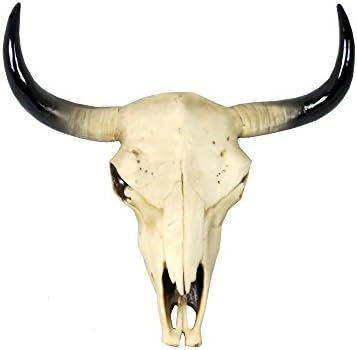 Sassy HomeJG016 Small American Desert Cow Skull Wall Ornament, one Colour, 29.5 x 31.5 x 11cm