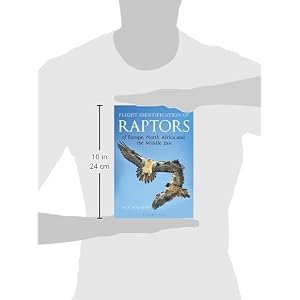 Flight Identification of Raptors of Europe, North Africa and the Middle Ease