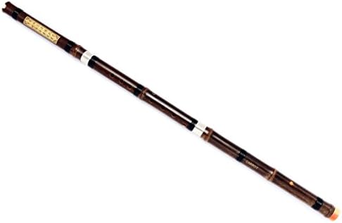 Model CX301 A major professional level xiao