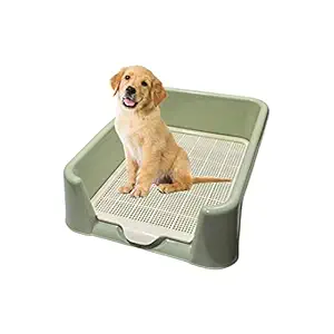 Taiyo Pluss Discovery Portable Dog Toilet Potty Training Tray (50 cm X 40 cm) with Protection Wall every side for No Leak, Spill & Accident, Indoor Pee Pad Holder for Puppies and other small breeds (Green)