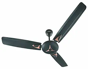 Candes Star High Speed Decorative 1200 mm / 48 inch Anti-Rust 400-RPM Ceiling Fan with 2 Yrs. Warranty (Coffee Brown)