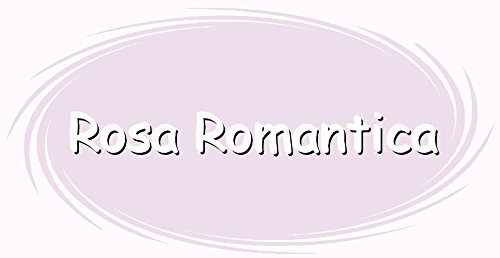 Ann Sterling Kreidefarbe Shabby Chic Farbe: Rosa Romantica 1Kg. / 750ml. Lack Chalky Paint - 2