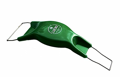 Bobby-Seeds Jätefaust Lucko Grün - 2