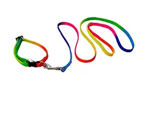 PetWag Nylon Multicolor Dog Leash and Collar Set, for Small & Puppy Breeds