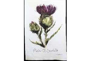 Clare Baird Creations Flower of Scotland Tea Towel in a Scottish Thistle Design