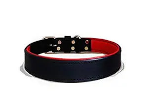 ZIIZO Genuine Leather Premium Padded Dog Collar Pet Collar Dog Belt (Black/Red, Extra Extra Large(25