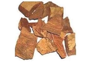 Jollyjolly Arjuna Ki Chaal - Arjuna - Arjun Tree - Thella Maddi - Marudha Maram - Tree Bark - 250 Grams