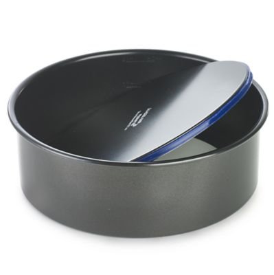 détail Lakeland PushPan Moule À Gâteau Rond Antiadhésif Avec Fond Amovible (20 cm)