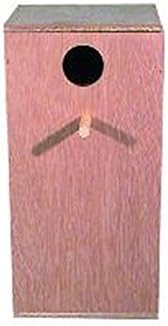 Goodspeed Southeast Cockatiel/Parakeet Breeder Nest Box (40.5 x 23 x 20cm) (Pink)