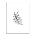 Produktbild WDZSHJ Dekorative Gemälde Dekorative Malerei Nordic Feather Leinwand Kunstdruck Malerei Poster, Flower Wall Bilder Für Die Private Dekoration, Wanddekoration, 20×25 cm Ohne Rahmen