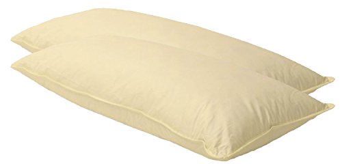 2 x Sofa Federkissen 40x80 cm (echte Federn) robust & formstabil