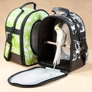 A&amp;E Cages 14.5"X10.5"X7" Soft Sided Travel Bird Carrier Small Green