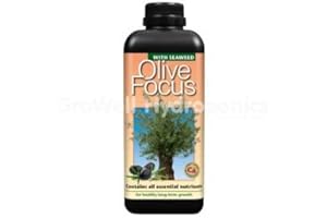 GROWTH TECHNOLOGY - FOCUS RANGE GT- Focus Range For Orchids Chillies,& More Specialist Plants Fruits & Trees (Olive Focus - 1L)