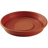 Platillos para plantas | Amazon.es