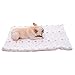 Produktbild haierr Pet Nest Hundebettpet Mat Four Seasons Universal Zwinger Katzenstreu 10 Kg Innen 45 * 55
