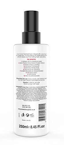Kokos-Hitzeschutzspray – Behandlung für trockenes Haar – Anti-Frizz, UV-Schutz, verleiht Volumen – 10-in-1 Styling-Produkt – 250 ml - 2