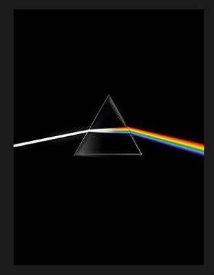 Michel Lafon Pink Floyd their mortal remains Le livre officiel
