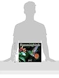 Image de Hummingbirds 2017 Calendar