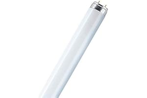 Osram L 36W/840 Ampoule