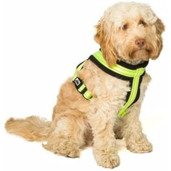 3 peaks expedition dog harness
