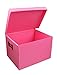 Corpac Pack Of 1 Multipurpose Durable Plastic Storage Box 16 X 12 X 11 Inch Pink RS.506.00