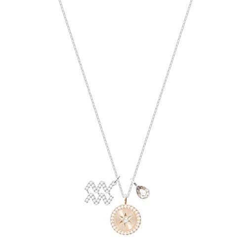 Swarovski Zodiac Anhänger, Wassermann, Grau, Rhodiniert