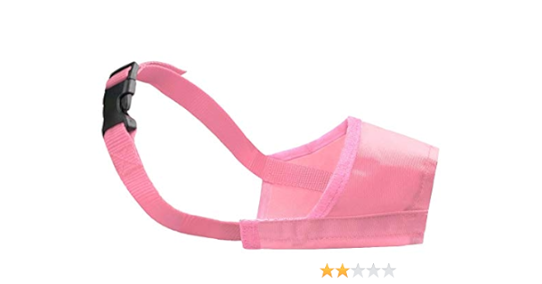 chihuahua muzzle barking