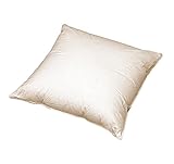 Sofa Federkissen ca. 50x50 cm (echte Federn) robust und formstabil Farbe Creme Sofa Federkissen ca. 50x50 cm (echte Federn) robust und formstabil Farbe Creme