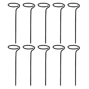 Cinagro Metal Plants Stem Support Stakes for Climbing Plant - Support Stand Ring for Indoor, Outdoor Garden, Balcony (Pack of 10)