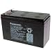 Produktbild Panasonic Hochstrom Bleiakku UP-RW1245P1 12,0Volt 9.000mAh mit 6,3mm Steckanschlüssen