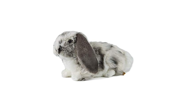Living Nature Rabbit Toy, Natural, Eco 