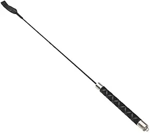 PetVogue Training Hunter Stick for Dogs - Dog Stick for Walk