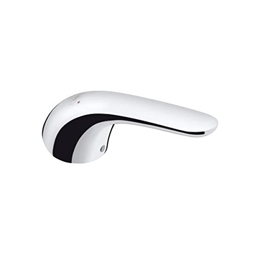 Preisvergleich Produktbild hansgrohe HG Griff Focus E Spültischmischer chrom beschriftet
