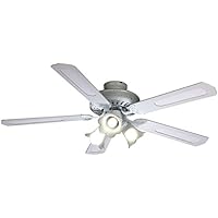 Suchergebnis auf Amazon.de für: deckenventilator gross