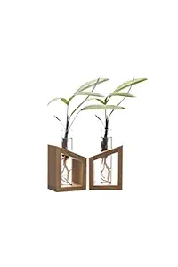 Labzio Home - Flower Vase in a Artistic Wooden Stand with a 3.3 Borosilicate Glass, Pack of 2