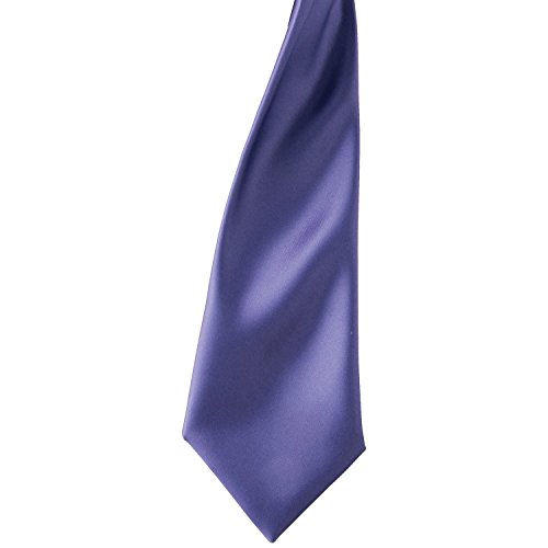 Premier - Corbata satinada Facil quita y pon Modelo Clip Hombre Caballero(40 colores) - Trabajo/Negocios/Moda (Talla Única/Púrpura)