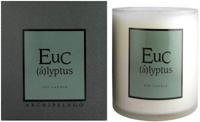 ARCHIPELAGO BOTANICALS Home Candle, Eucalyptus 400 g
