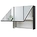 Produktbild Mendler Spiegelschrank HWC-C11, Wandspiegel Badspiegel Badezimmer, aufklappbar Hochglanz 58x60cm ~ schwarz