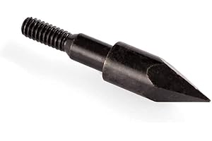 YAK Archery Schraubspitze 5/16 Zoll 100 grn für Ek Cobra System, Cobra R9 und Cobra R10 Adder Carbonpfeil Spitze12 / STK