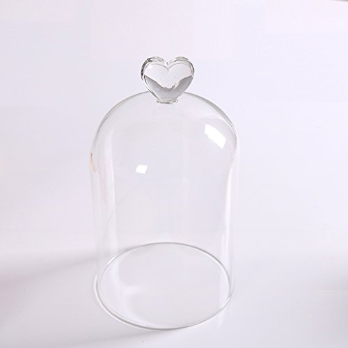 Gazechimp Glashaube Glasglocke Glassturz mit Holzboden Fairy Garten Terrarium Diy Landschaften Blumen Vase Haus Dekoration Herz - 3