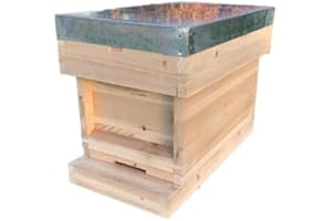 SIMON THE BEEKEEPER Premium Pine 6 Frame Beekeeping Nuc