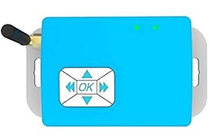 LyLmLe R-RF433C Contrôleur Synchronisation des Couleurs pour les Lumières LED RGB Piscine