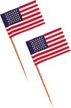 American Flag Toothpicks - Pkg of 500 - Cute for Cupcakes! Home Supply Maintenance Store by Home-APP