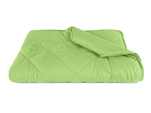 Doppelpack zum Sparpreis – Leichtsteppbetten aus samtweichem Mikrofasergewebe – Maße ca. 135 cm x 200 cm – vielseitig verwendbar – erhältlich in 8 modernen Farben – geprüfte nach Öko-Tex Standard 100, apfel - 7
