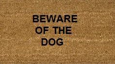 70cm x 40cm BEWARE OF THE DOG Printed Internal Coir Mat, Door Mat Stencilled